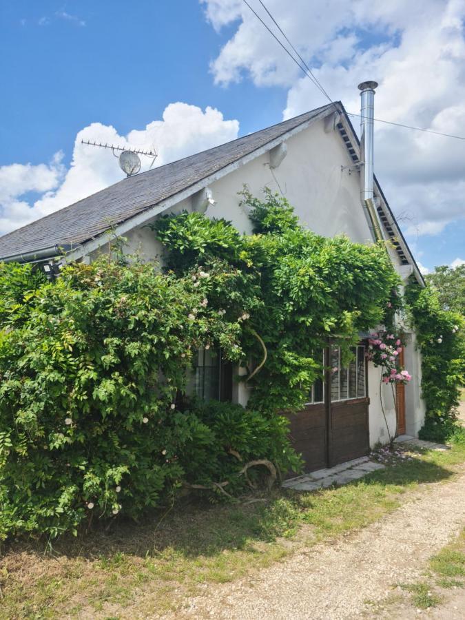 "Gite Les Glycines" Linge Inclus Proche Centre-Ville Блуа Экстерьер фото